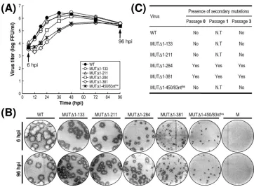 FIG. 7. Characterization of recombinant viruses generated from ﬁve replication-competent JEV 3�growth and focus morphology
