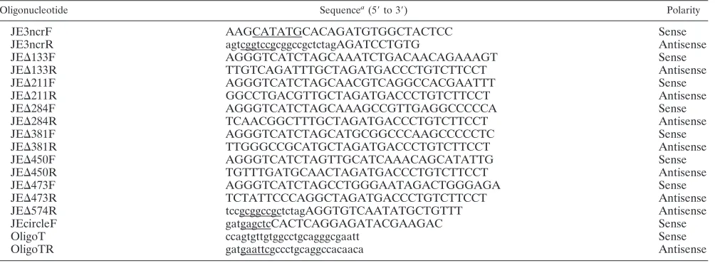 TABLE 1. Oligonucleotides used for cDNA synthesis, PCR ampliﬁcation, and mutagenesis