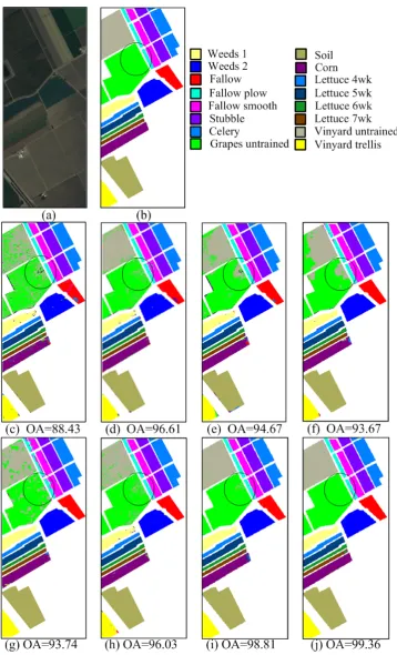 Fig. 6. Salinas image (a) Three-band color composite image. (b) Reference image, and 
