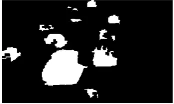 Figure 4. Image enhancement. 