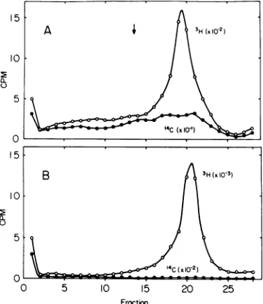 Table 1 and Fig. 1A, B, note the scale change:and unpublished results). This is thought to bethe result of differences in the interaction of the