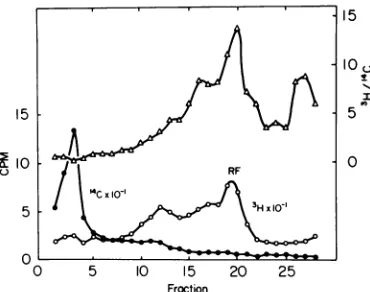 FIG. 6.gradientRF.withneutralat(A) 43,000 Equilibrium density centrifugation of H-i RFDNA purified by sucrose gradient and labeled 3H-thymidine was sedimented to equilibrium in CsCI (A) and in an ethidium bromide CsCI (B) as described (17)