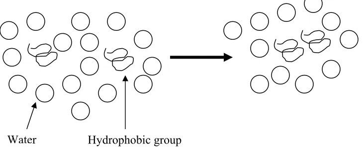Figure 1.3. Hydrophobic interaction. 