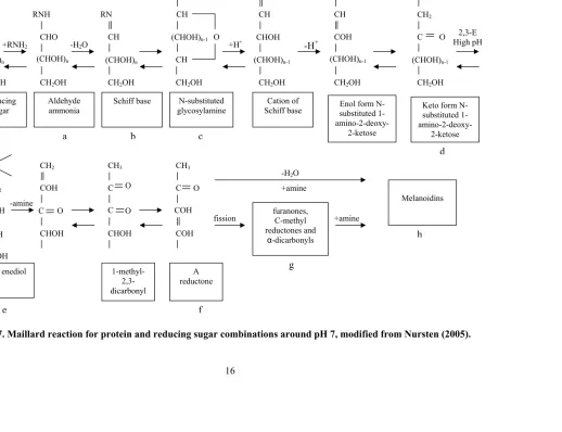 Figure 1.7. Maillard reaction for protein and reducing sugar combinations around pH 7, modified from Nursten (2005)