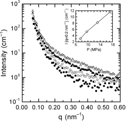 Figure 3.6. SAXS patterns collected from the 88/12 PMMA/PVDF blend after 3 h of 