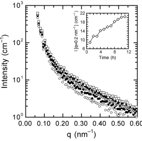 Figure 3.7. Selected SAXS patterns collected from the 88/12 PMMA/PVDF blend after a 