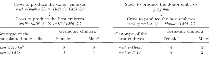 TABLE 3