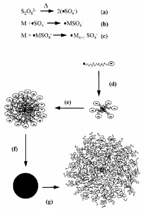 Figure 2-3. Process of SFEP to prepare microgels. (a) thermo decomposition of initiator; particle growth; (f) collapse in and precipitation from the poor solvent of the polymer.(b) initiation of polymerization; (c) propagation of chains; (d) particle nucleation; (e) 2 