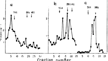 FIG. 5.andhybridizationstructuresextracteddensityafter Hybridization of the 3H-DNA product of the endogenous virion DNA polymerase system with 20 35S RNA extracted from the 150S structures of AO cells