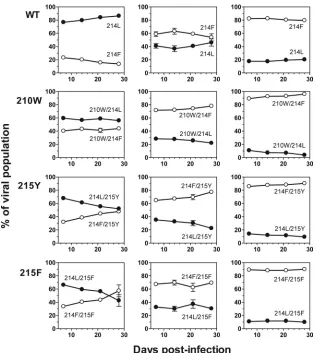 FIG. 4. Replication kinetics of wild-type (WT) and Tyr-215 (215Y) HIV-1 variants in the presence of 0.02 �(C) ZDV