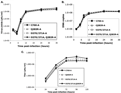 TABLE 3. lacZ mutation frequency replicated by UL42 mutantsa