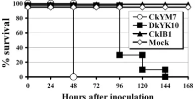 TABLE 2. Pathogenicity of the two HPAI viruses and one LPAIvirus in 4-week-old chickens after intranasal inoculationa