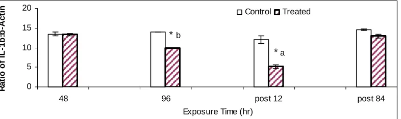 Fig 3. TGF- β mRNA expression of tilapia (n=5) splenic mononuclear cells subjected to 96h hypoxia 