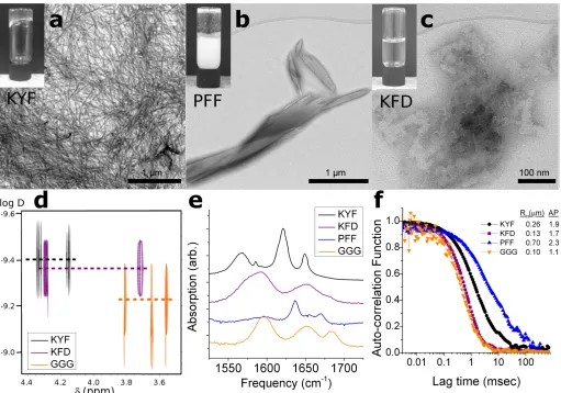 Figure 
  3. 
  The 
  characterization 
  of 
  selected 
  tripeptides. 
   
  a-­‐c, 
  TEM 
  images 
  of 
  KYF, 
  KFD 
  and 
  PFF 
  tripeptides