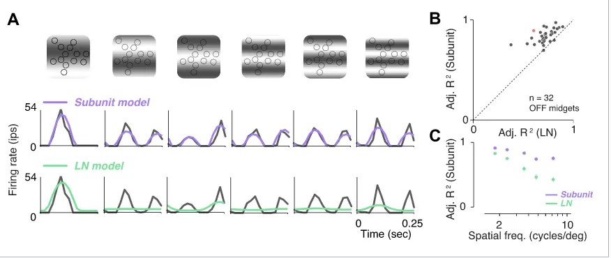 Figure 5. Responses to gratings. (separately for the two models for different spatial frequencies, averaged across RGCs