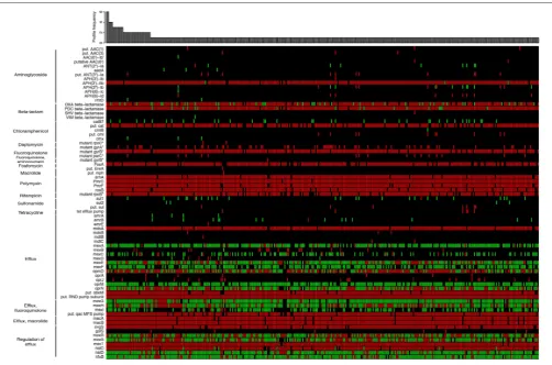 FIGURE 2 | Heat map showing the unique distribution proﬁles of antibiotic resistance genes for 389 Pseudomonas aeruginosaResistance Database (CARD;data used to generate the heat map is available asperfect matches to OXA strains (black: nosequence matching 