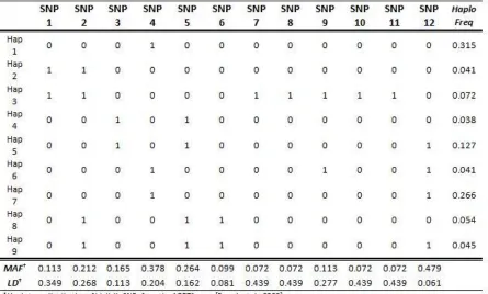 Table 2.1: Haplotype distribution with estimated SNP minor allele frequencies and linkage disequilibrium coefficients.* 