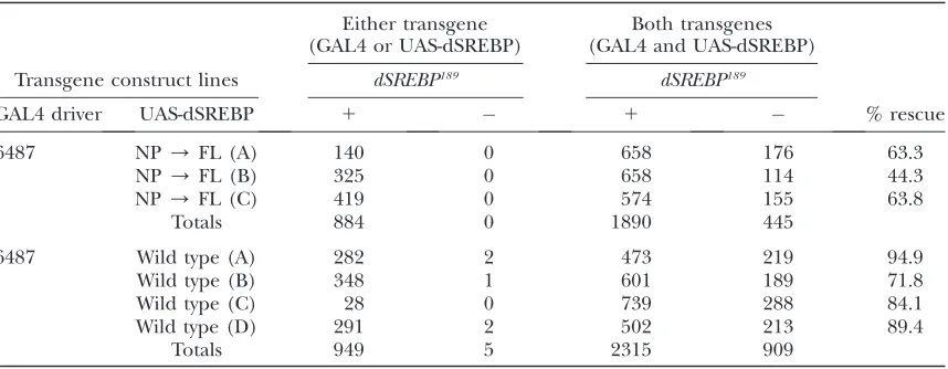 TABLE 1