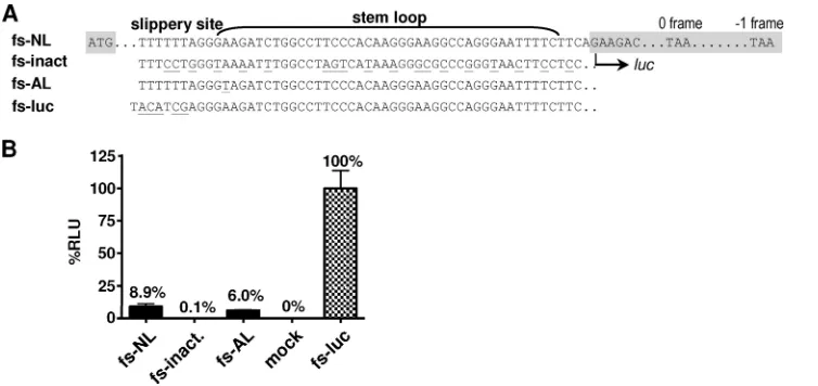 FIG. 2. Functional analysis of the modiﬁed frameshift sites in a luciferase reporter assay