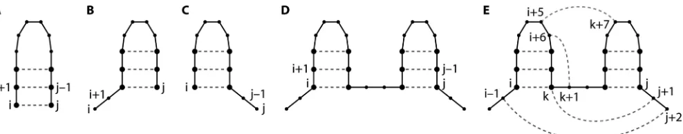 FIG. 1. Four possible relationships between nucleotides i and j. Dots represent nucleotides i �connections