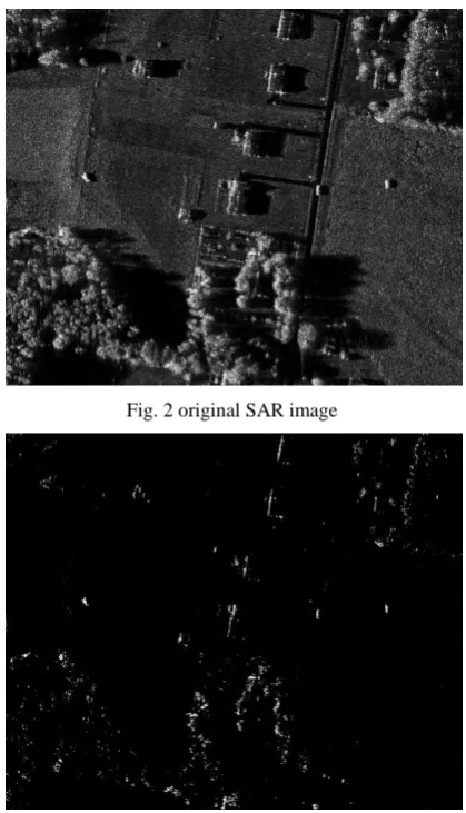 Fig. 2 original SAR image 