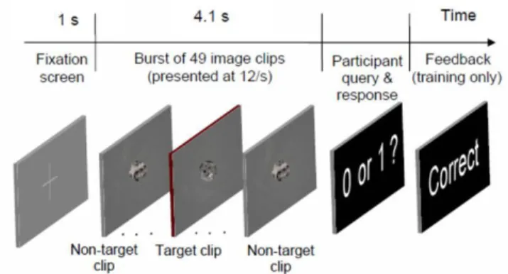 Fig.  1:  Subjects  in  Rapid  Serial  Visual  Presentation  (RSVP)  experiment  are  shown  bursts  of  49  satellite  images
