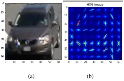 Fig. 3.  (a) Test image for features extraction (b) HOG image of Fig. (a)  