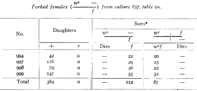 TABLE 4 