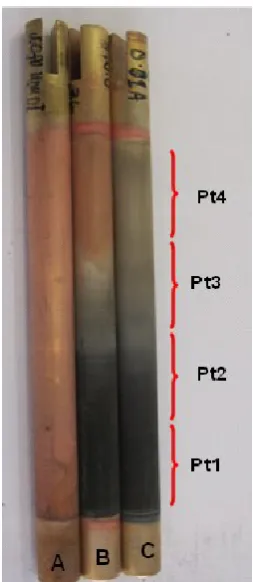 Figure 1: Electroplated cylinders from RCH cells for different ethaline DES formulations
