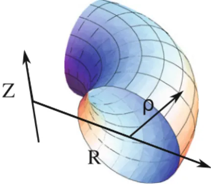 Fig. 2.1 Coordinate system (R, Z) used in this chapter