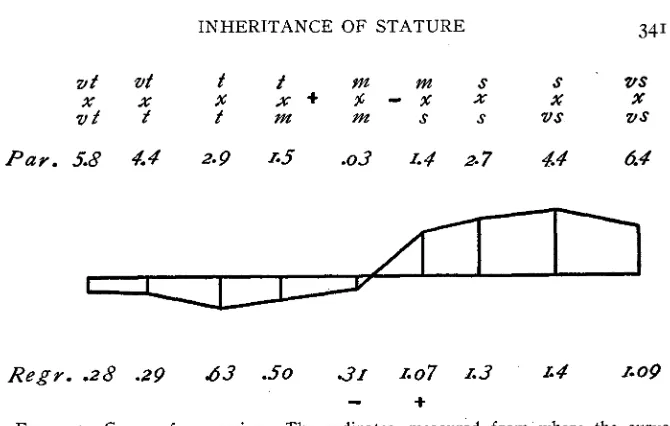 FIGURE 3.-Curve cuts the base, give the average parental deviation from mediocrity The abcissae are proportional to the filial regression (Regr.) measured up from the base; absence of regression (i.e., of regression