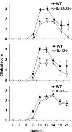 FIG. 1. JHMV infection induces IL-12 p40 within the CNS. Expres-sion of IL-12p40, IL-12p35, and IL-23p19 mRNA in the CNSs of JHMV-