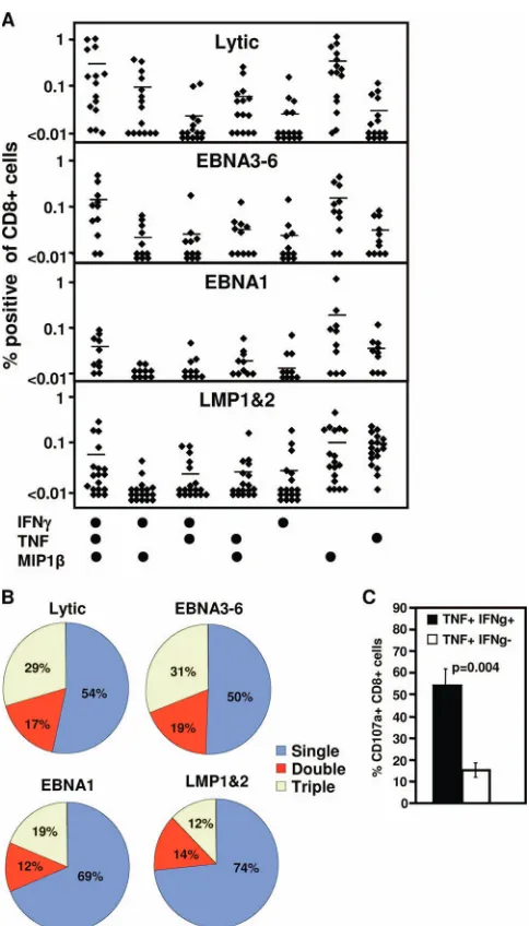 FIG. 2. Polyfunctionality of EBV-speciﬁc T-cell populations. (Aand B) Cytokine proﬁle of EBV-speciﬁc T-cell populations