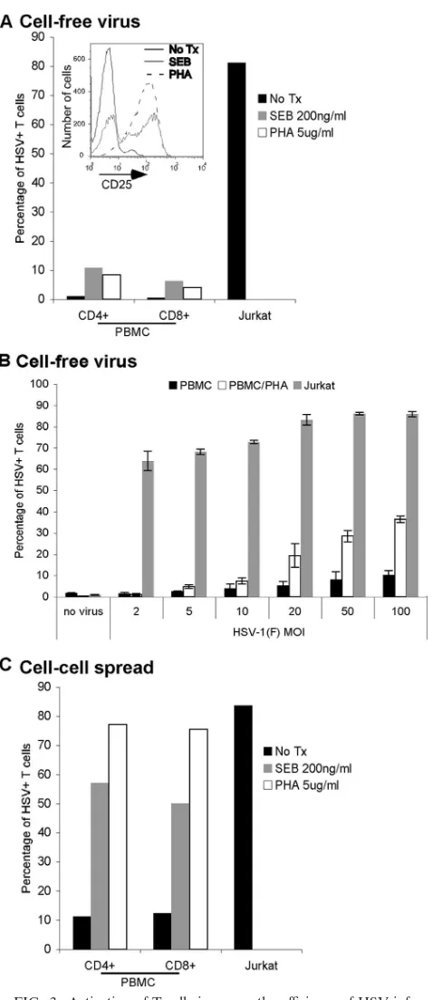 FIG. 3. Activation of T cells increases the efﬁciency of HSV infec-tion. (A) Jurkat T cells, PBMC, or PBMC activated for 4 days at 37°C