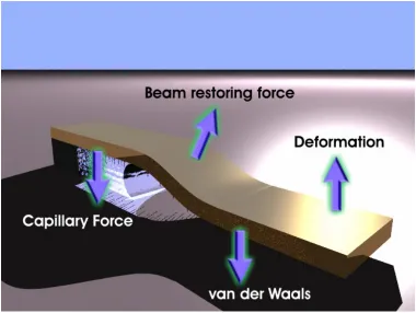 Figure 3-16: Cartoon of the types of forces acting on a cantilever in the process of sticking down 