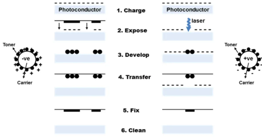 Fig. 2. 15. Electrophotographic processes. (left; photocopying, right: laser printing).16 