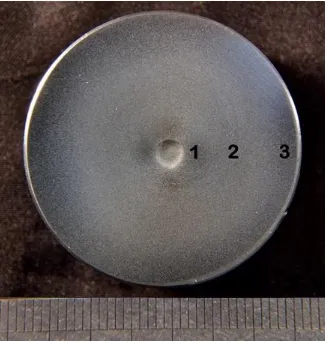 Figure 12. Turbulent area (1) of the UNS S31600 with abrasion marks after solid/liquid impingement