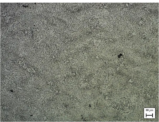 Figure 2. Ferrite matrix and austenite grains in UNS S32760 