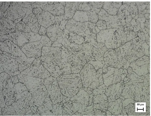Figure 4. Martensitic structure with the presence of carbide precipitates within the matrix and also on the grain boundaries in UNS S17400 