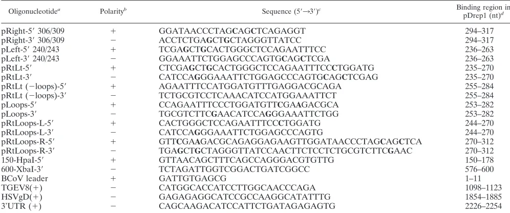 TABLE 1. Oligonucleotides used in this study