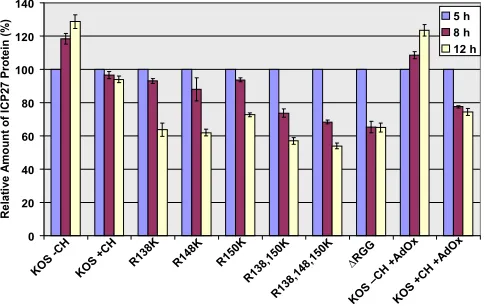 FIG. 6. Protein expression proﬁle and DNA replication. (A) HeLa cells were infected with wild-type (WT) HSV-1 KOS or the indicated ICP27arginine-to-lysine viral mutants