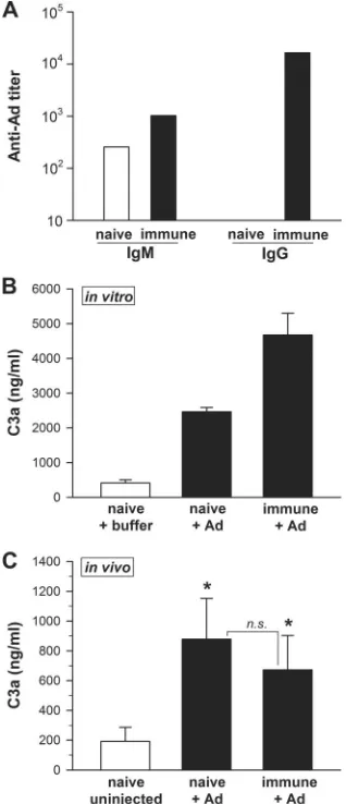 FIG. 3. Immunizing against Ad augments complement activation invitro, but not in vivo