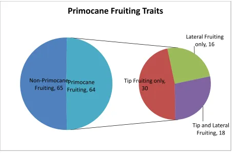 Figure 2.  Comparison of non-primocane fruiting and primocane-fruiting divisions within the 