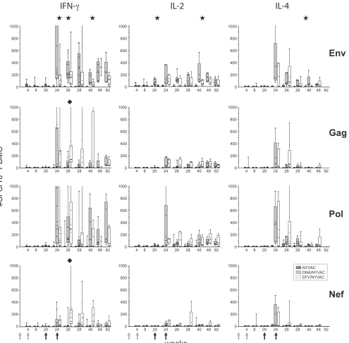 FIG. 2. Vaccine-induced antigen-speciﬁc T-cell responses in time. IFN-�HIV-1 clade C Env (two peptide pools), Gag (two peptide pools), Pol (three peptide pools), and Nef (one peptide pool) overlapping peptides wasmeasured by ELISpot assay