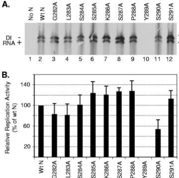 FIG. 2. Replication activities of the N mutants. (A) Replication ofDI RNA supported by the alanine-scanning N mutants