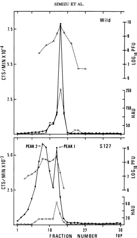 FIG. 4.gradientperplatessampleslabeled Sucrose gradient analysis of the wild-type and S127 mutant virions synthesized in CE cells
