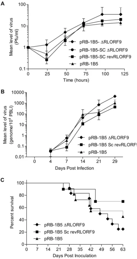 FIG. 6. Challenge experiment revealing that the ICR IRES-con-trolled RLORF9 is not essential for viral replication or tumor forma-