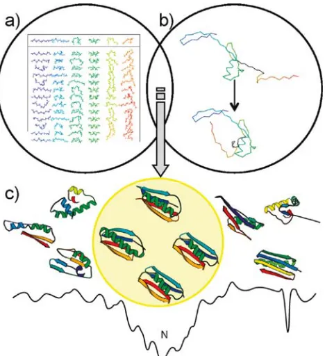 Figure 1.9:  ROSETTA starts from (a) fragment libraries with sequence-dependent ( and ψ) angles that capture the local conformational space accessible to a sequence