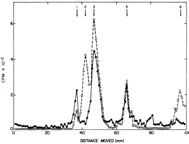 FIG. synthesizedinfected cellselectrophoresed 5. 8H-polypeptides in a cell-free reaction containing 18S RNA from in the same gel as "4C-polypeptides from Sendai virions (0)