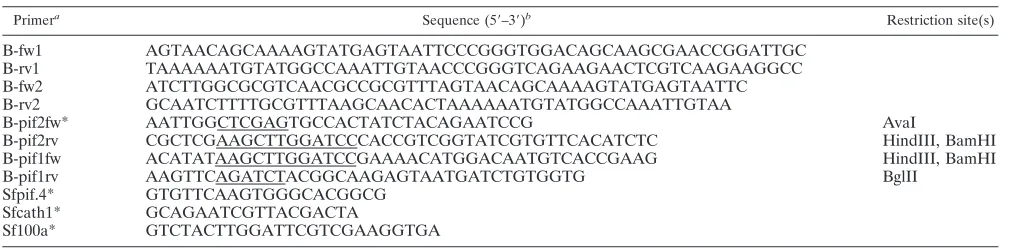 TABLE 1. PCR primers used for the generation of recombinant bacmids and plasmids